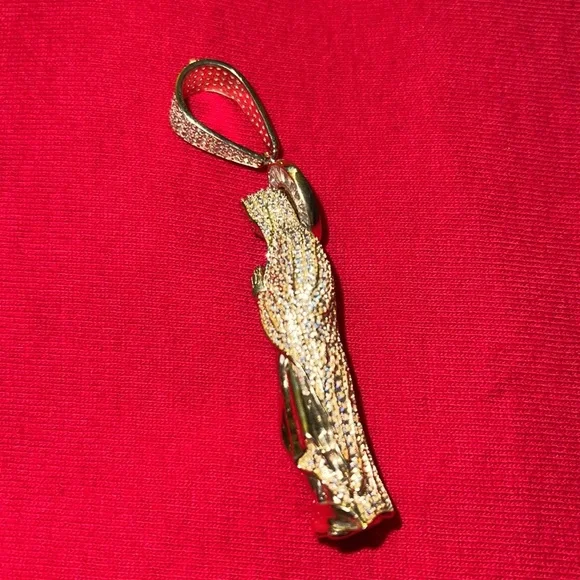 Hermoso dije de la virgen maría de Guadalupe